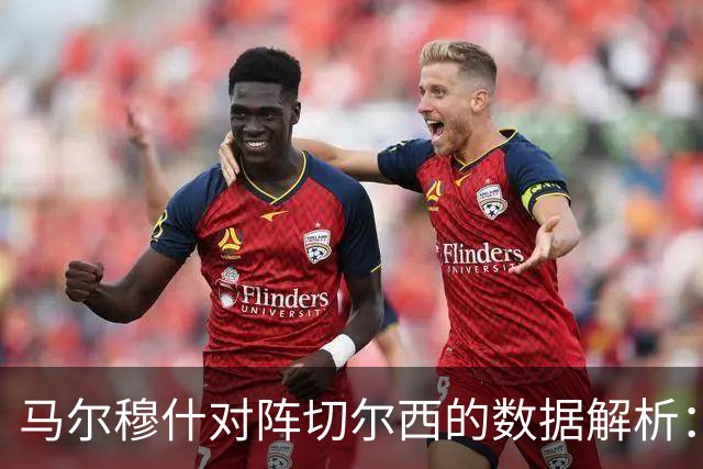 马尔穆什对阵切尔西的数据解析：亮点与遗憾并存